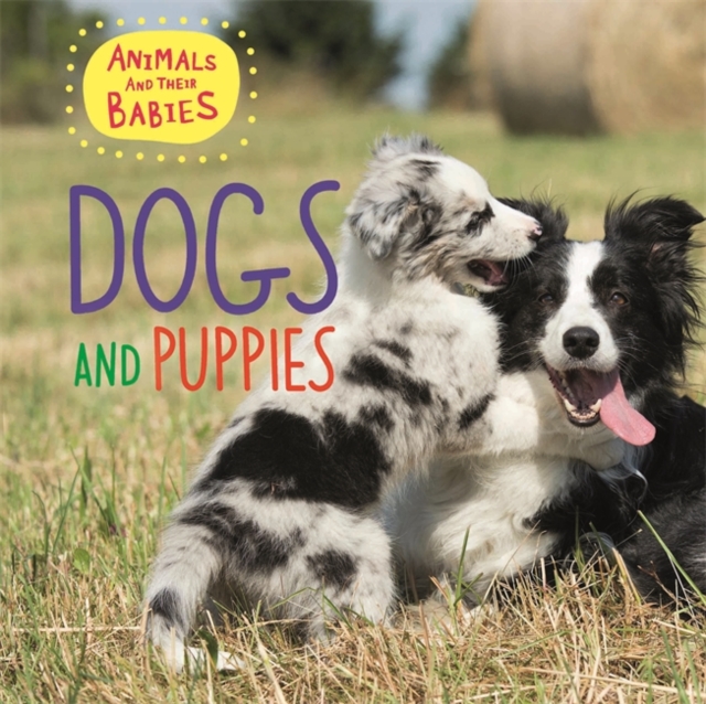 Animals and their Babies: Dogs & puppies, Hardback Book