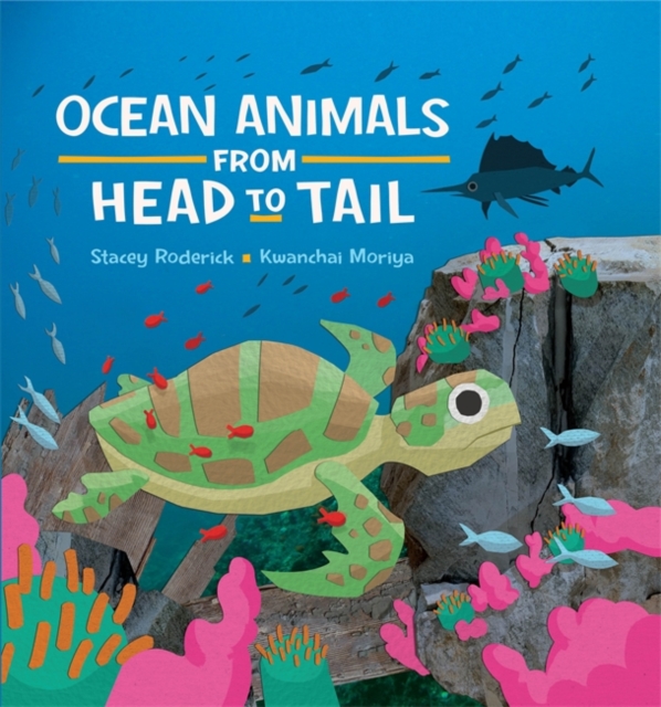 Ocean Animals from Head to Tail, Hardback Book