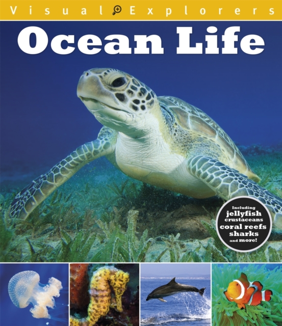 Visual Explorers: Ocean Life, Paperback / softback Book