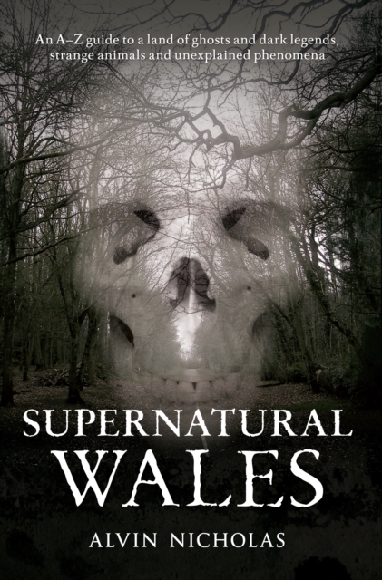 Supernatural Wales, Paperback / softback Book