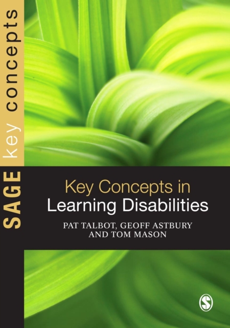 Key Concepts in Learning Disabilities, PDF eBook