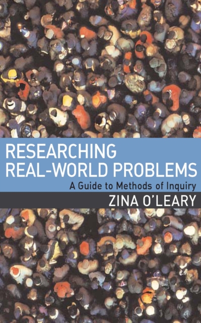 Researching Real-World Problems : A Guide to Methods of Inquiry, EPUB eBook