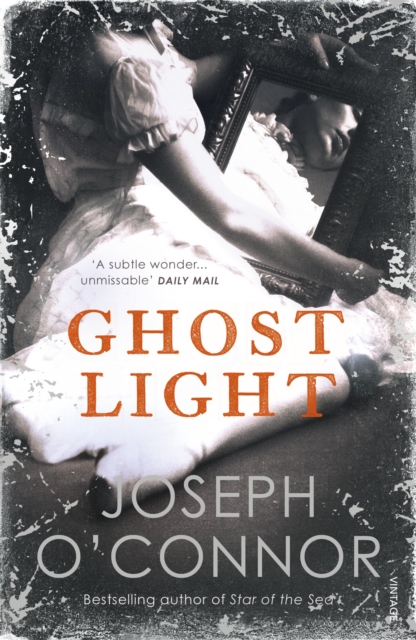 Ghost Light : From the Sunday Times Bestselling author of Star of the Sea, EPUB eBook