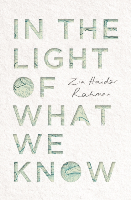 In the Light of What We Know, Hardback Book