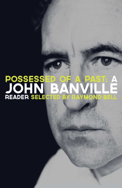 Possessed of a Past: A John Banville Reader, EPUB eBook