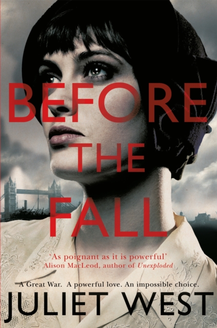 Before the Fall, Paperback / softback Book