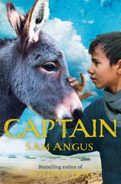 Captain, Paperback / softback Book