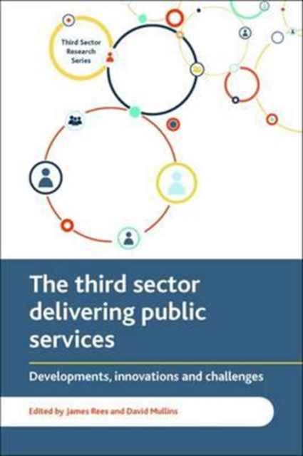 The Third Sector Delivering Public Services : Developments, Innovations and Challenges, Paperback / softback Book