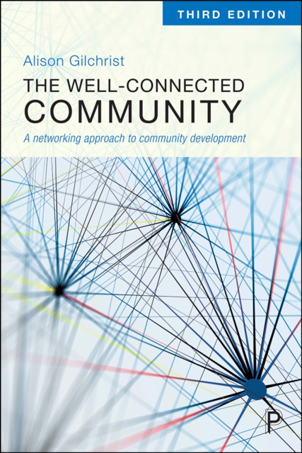 The Well-Connected Community : A Networking Approach to Community Development, EPUB eBook