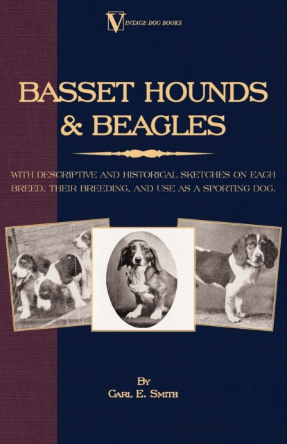Basset Hounds & Beagles: With Descriptive and Historical Sketches on Each Breed, Their Breeding, and Use as a Sporting Dog, EPUB eBook