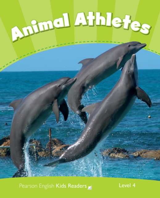 Level 4: Animal Athletes CLIL AmE, Paperback / softback Book