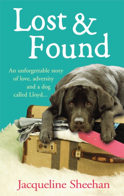 Lost & Found, EPUB eBook