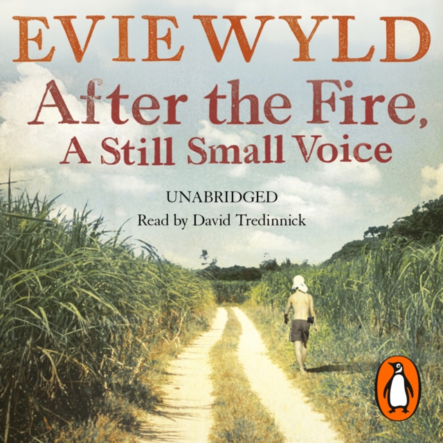 After the Fire, A Still Small Voice, eAudiobook MP3 eaudioBook