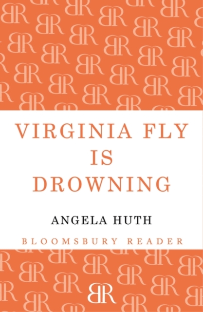 Virginia Fly is Drowning, Paperback Book