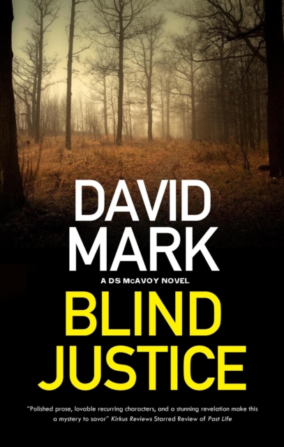 Blind Justice, Paperback / softback Book
