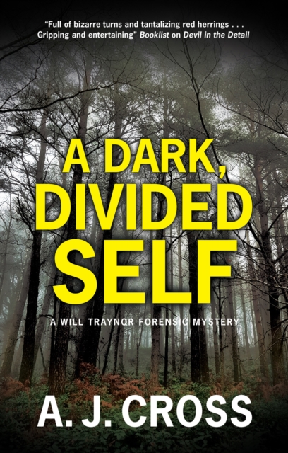 A Dark, Divided Self, Hardback Book