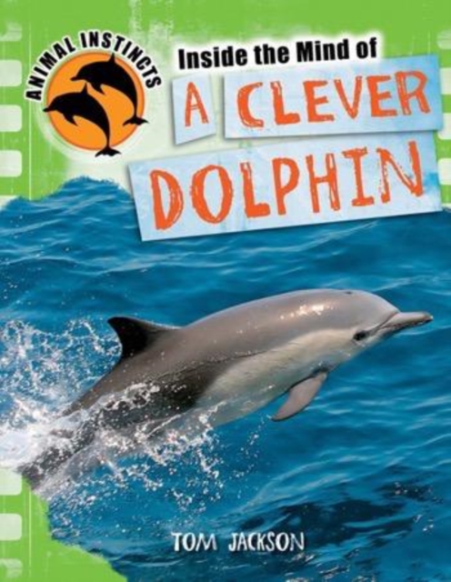Inside the Mind of a Clever Dolphin, PDF eBook