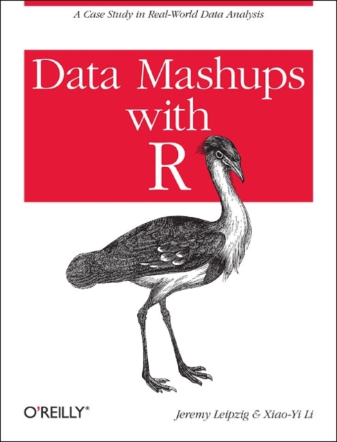Data Mashups in R, Paperback / softback Book