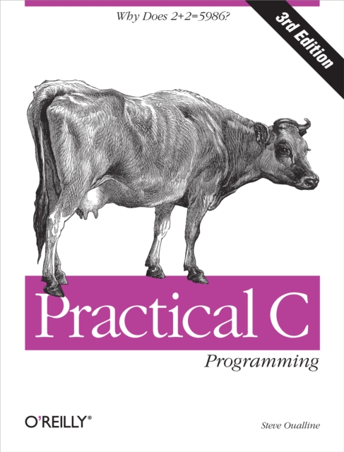 Practical C Programming : Why Does 2+2 = 5986?, EPUB eBook