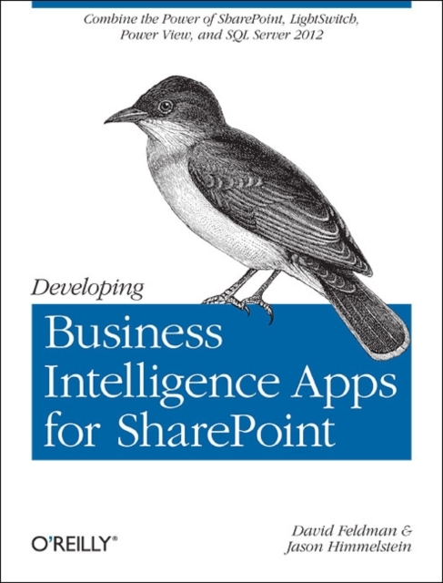 Developing Business Intelligence Apps for SharePoint, Paperback / softback Book