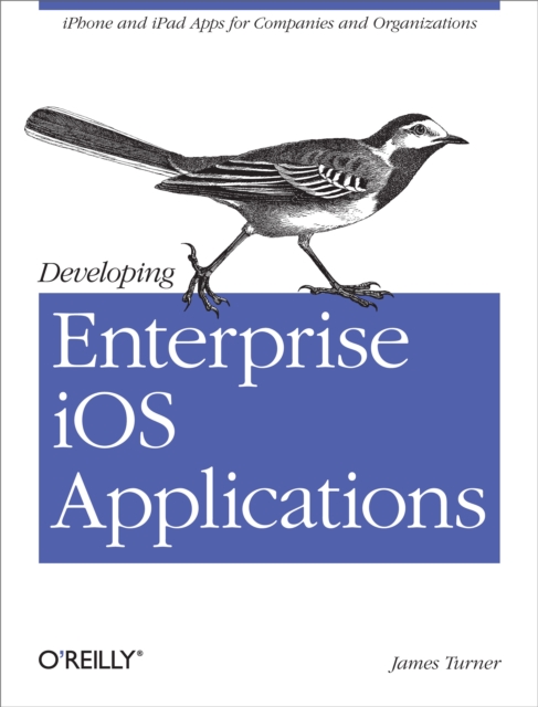 Developing Enterprise iOS Applications : iPhone and iPad Apps for Companies and Organizations, PDF eBook