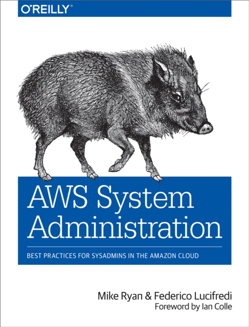 AWS System Administration : Best Practices for Sysadmins in the Amazon Cloud, EPUB eBook