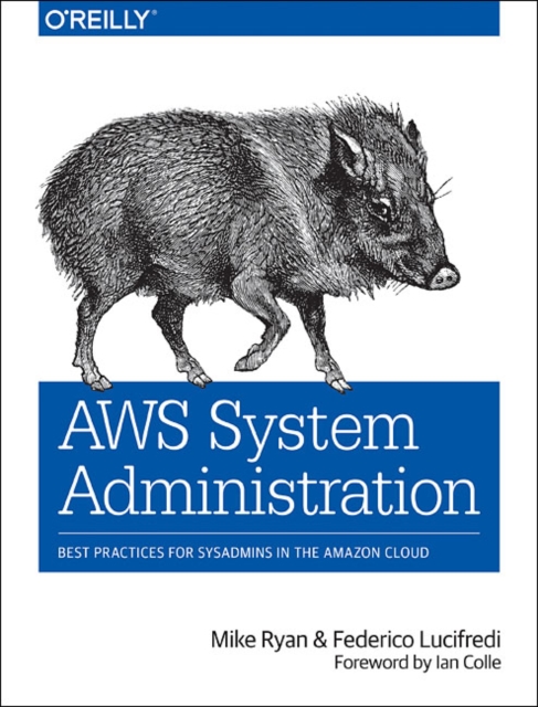 AWS System Administration : Best Practices for Sysadmins in the Amazon Cloud, Paperback / softback Book