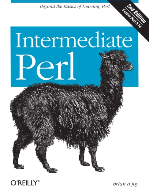 Intermediate Perl : Beyond The Basics of Learning Perl, PDF eBook