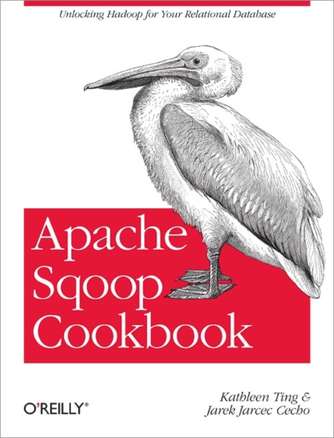 Apache Sqoop Cookbook, Paperback / softback Book