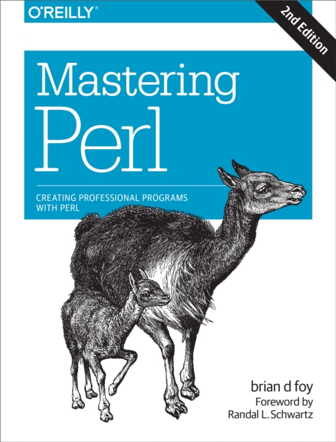 Mastering Perl : Creating Professional Programs with Perl, EPUB eBook