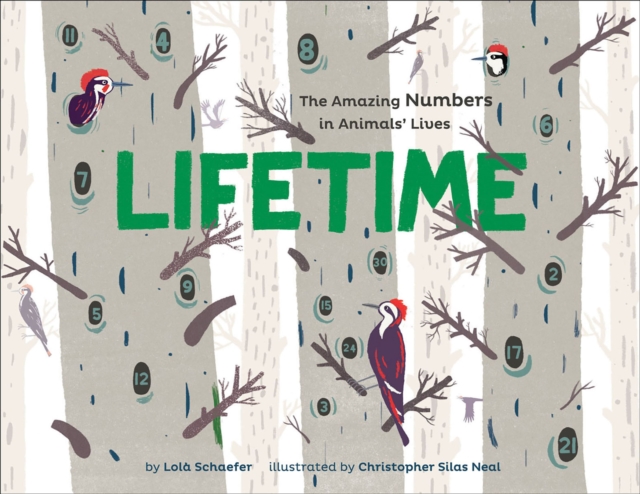 Lifetime : The Amazing Numbers in Animal Lives, EPUB eBook