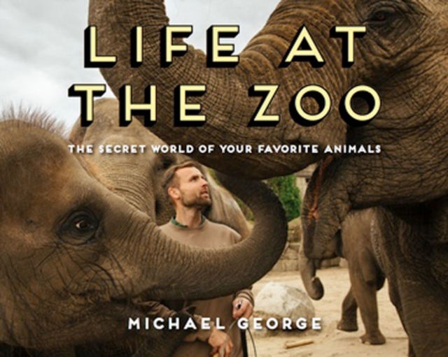 Life at the Zoo, Hardback Book