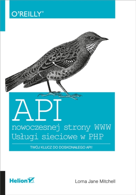 Interfejs API. Strategia programisty, EPUB eBook