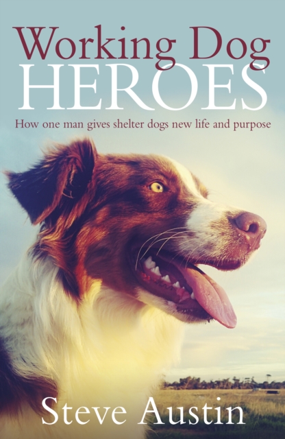 Working Dog Heroes : How One Man Gives Shelter Dogs New Life and Purpose, EPUB eBook