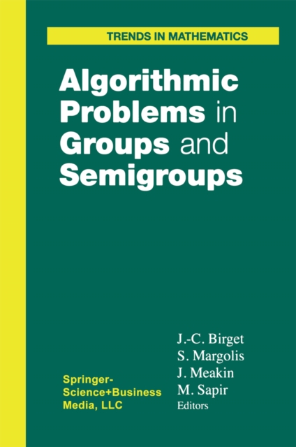 Algorithmic Problems in Groups and Semigroups, PDF eBook