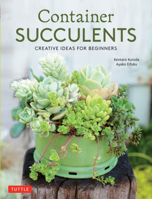 Container Succulents : Creative Ideas for Beginners, EPUB eBook