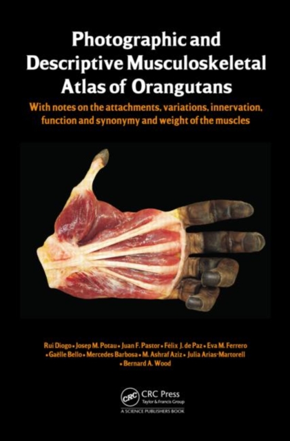 Photographic and Descriptive Musculoskeletal Atlas of Orangutans : with notes on the attachments, variations, innervations, function and synonymy and weight of the muscles, Hardback Book