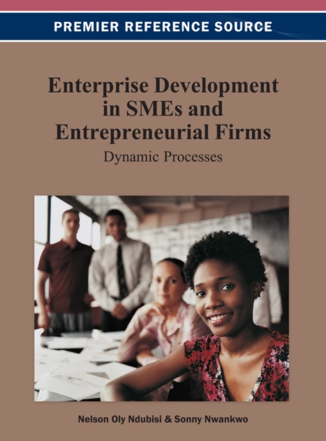 Enterprise Development in SMEs and Entrepreneurial Firms: Dynamic Processes, EPUB eBook