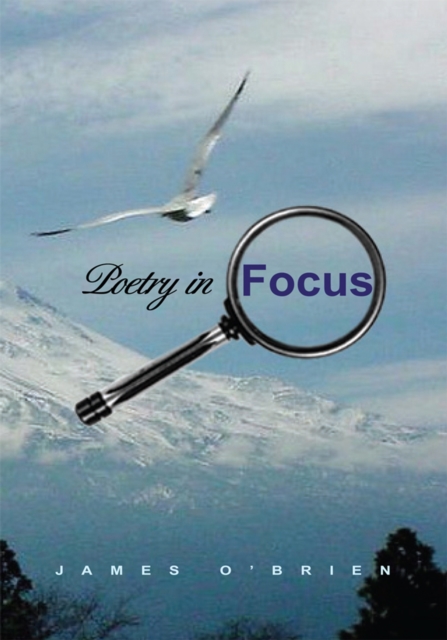 Poetry in Focus, EPUB eBook