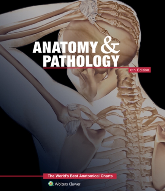Anatomy & Pathology:The World's Best Anatomical Charts Book, Fold-out book or chart Book