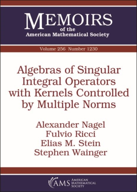 Algebras of Singular Integral Operators with Kernels Controlled by Multiple Norms, Paperback / softback Book