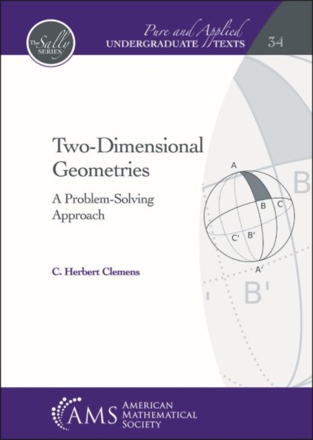 Two-Dimensional Geometries : A Problem-Solving Approach, Hardback Book