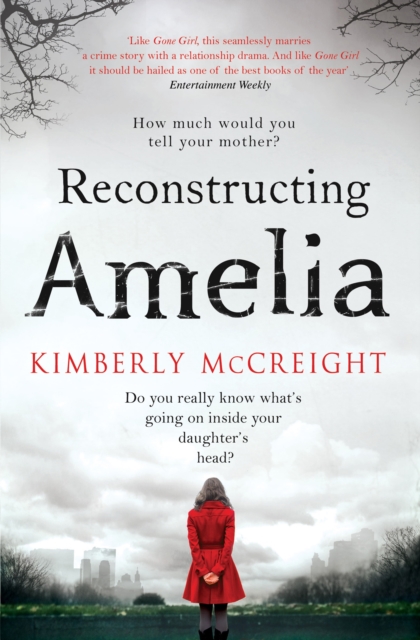 Reconstructing Amelia, Paperback / softback Book