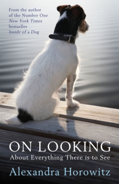 On Looking : About Everything There is to See, EPUB eBook
