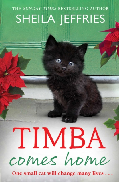 Timba Comes Home, Hardback Book