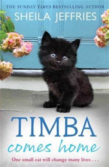 Timba Comes Home, Paperback / softback Book