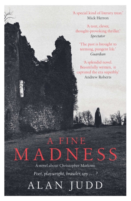 A Fine Madness : Sunday Times 'Historical Fiction Book of the Month', Paperback / softback Book