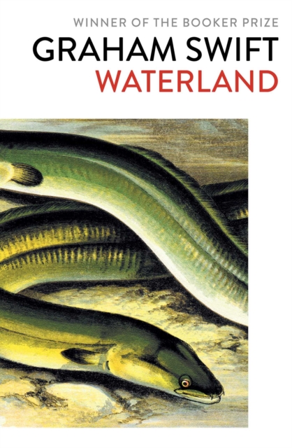 Waterland, EPUB eBook
