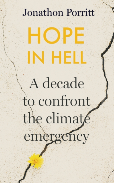 Hope in Hell : A decade to confront the climate emergency, Hardback Book