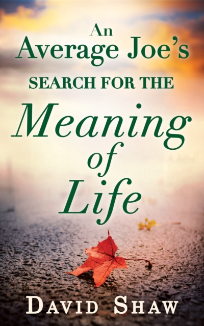 An Average Joe's Search for the Meaning of Life, EPUB eBook